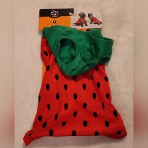 Hyde & EEK! Boutique Watermelon Dog Costume - Red and Green